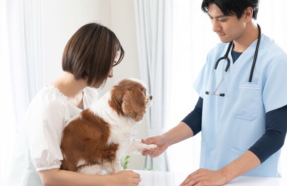 適切な予防接種で動物の健康を守りましょう | 丁寧な診察が特長の広島市の皆川動物病院