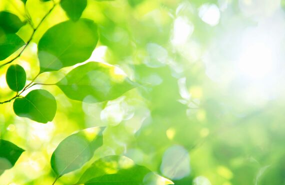 愛犬・愛猫のためにセカンドオピニオンを提供します | 丁寧な診察が特長の広島市の皆川動物病院